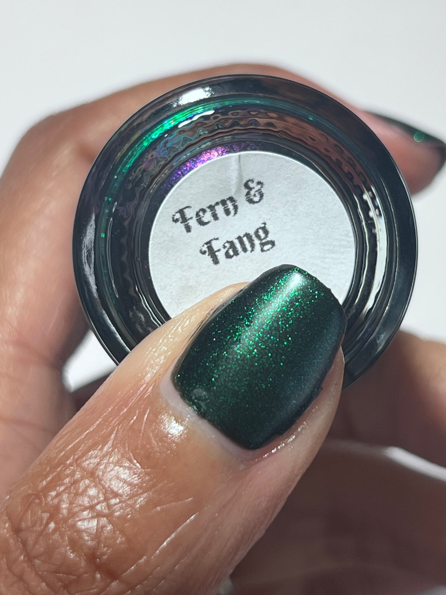 Fern & Fang