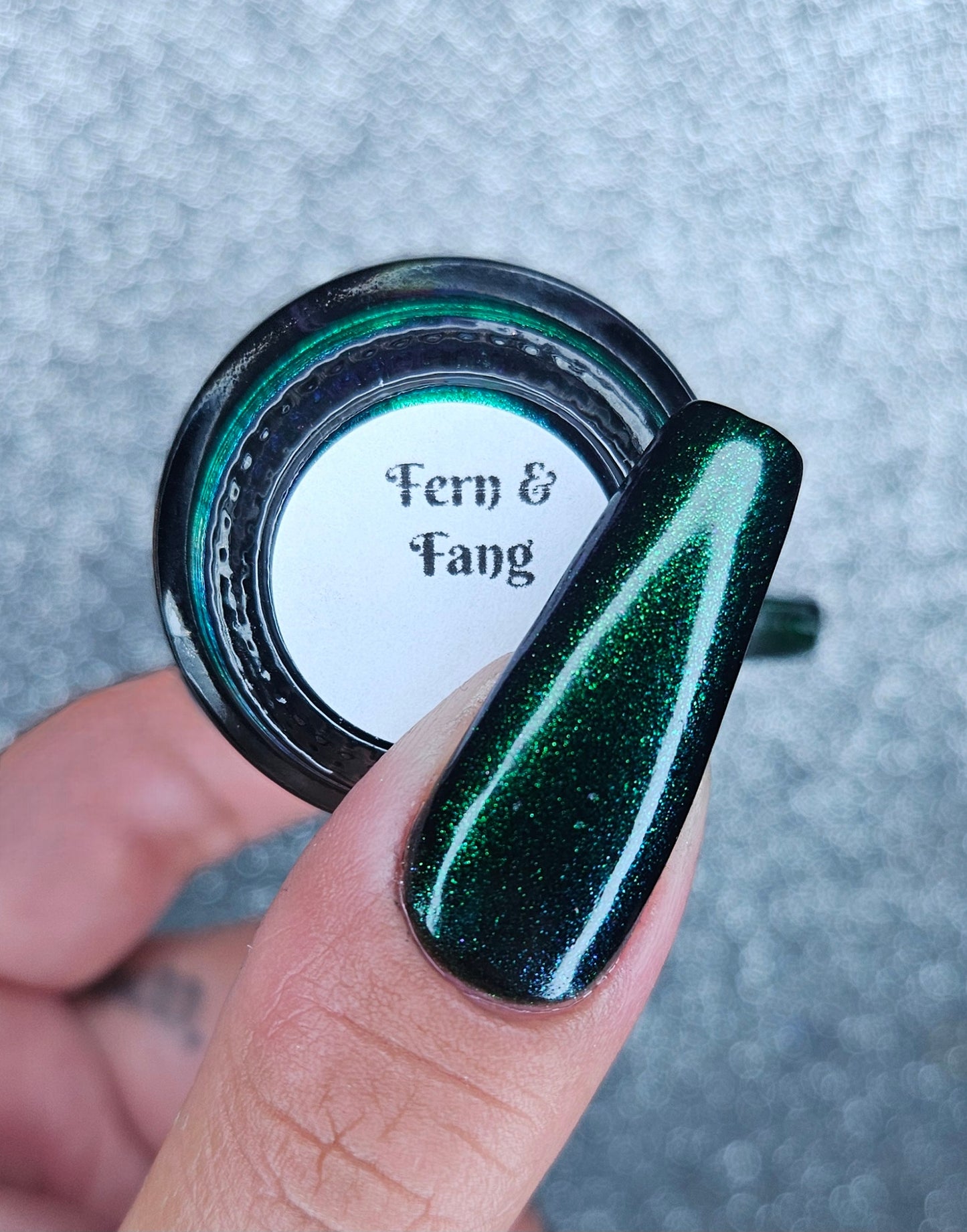 Fern & Fang