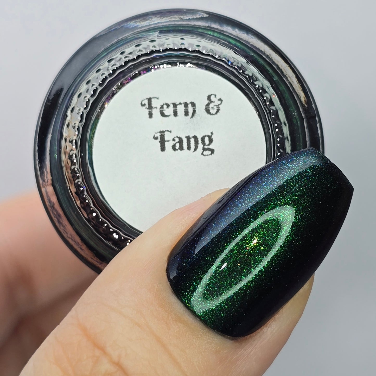 Fern & Fang